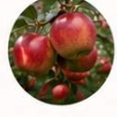 Ripening